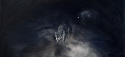 nuit noire, animaux gris, yeux brillants