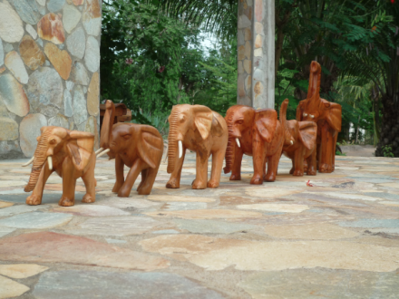 Troupeau d'éléphants