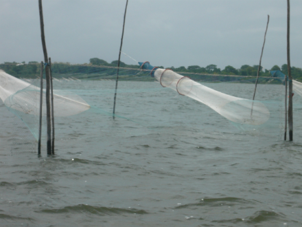 filets de pêche