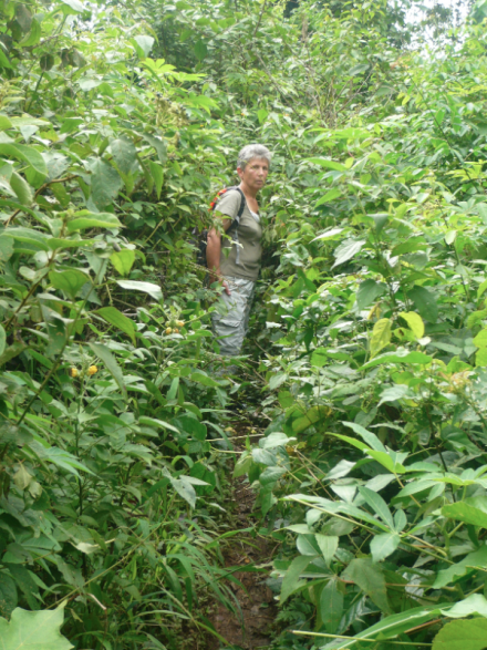 Maman perdue dans les feuillages